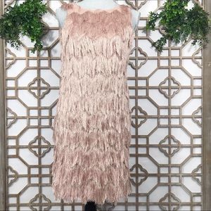 LAST CHANCE Zara Neutral Pink Chevron Fringe Dress